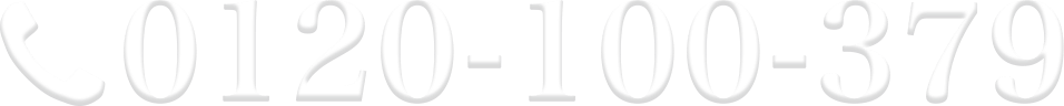 0120-100-379