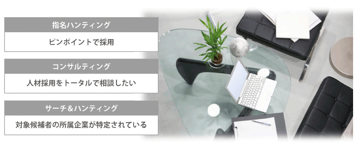 職業紹介サービス（サーチ型）